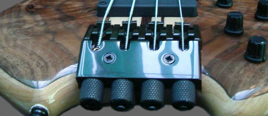 Lynda's Sei Bass close up of bridge
