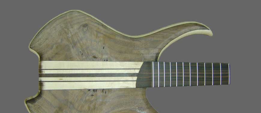 Sei Bass close up